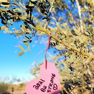 Meet your Posher, Annie